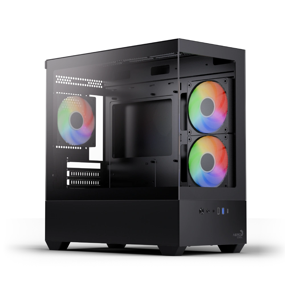 P300D