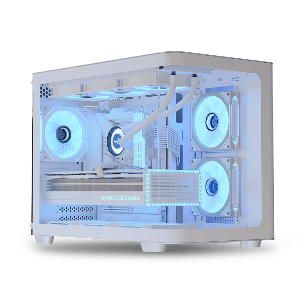 P300C