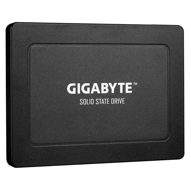 Gigabyte GP-GSTFS31512GNTD-V