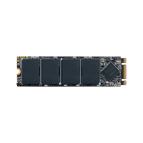 Lexar NM100 256GB