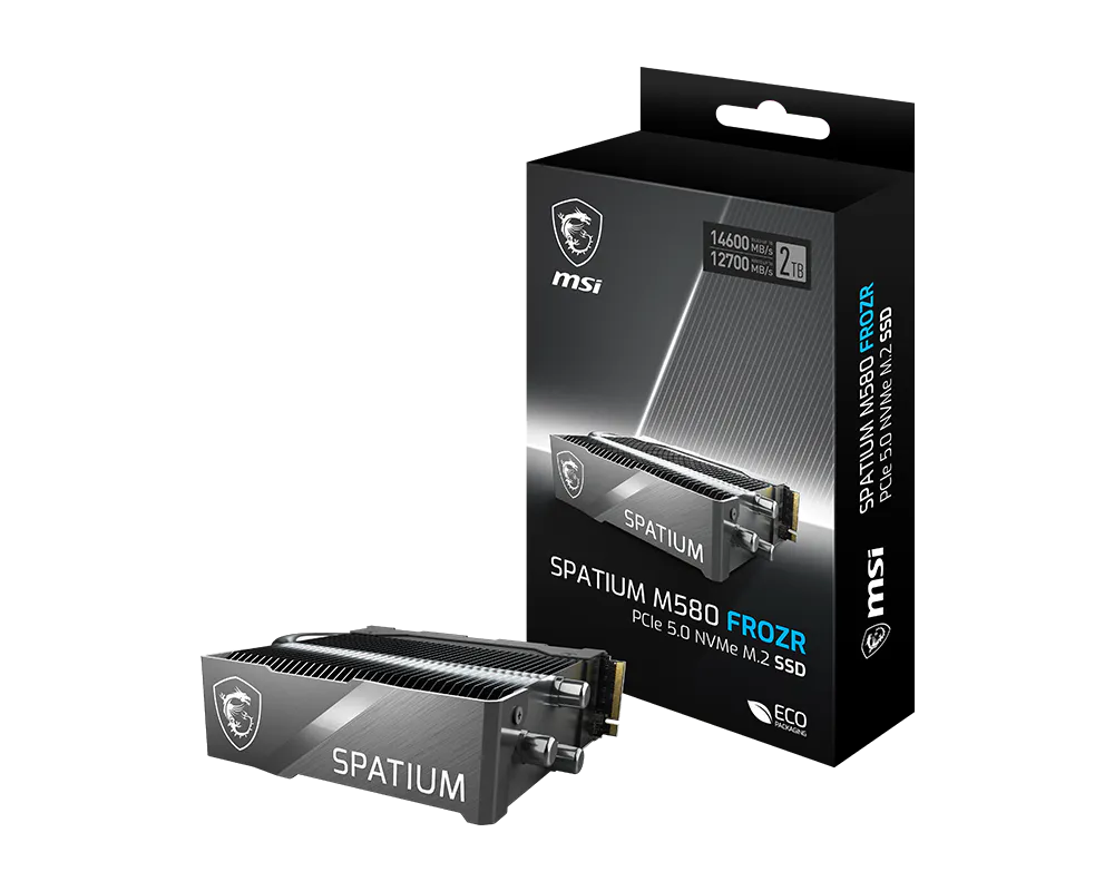 MSI SPATIUM M580 FROZR 1TB