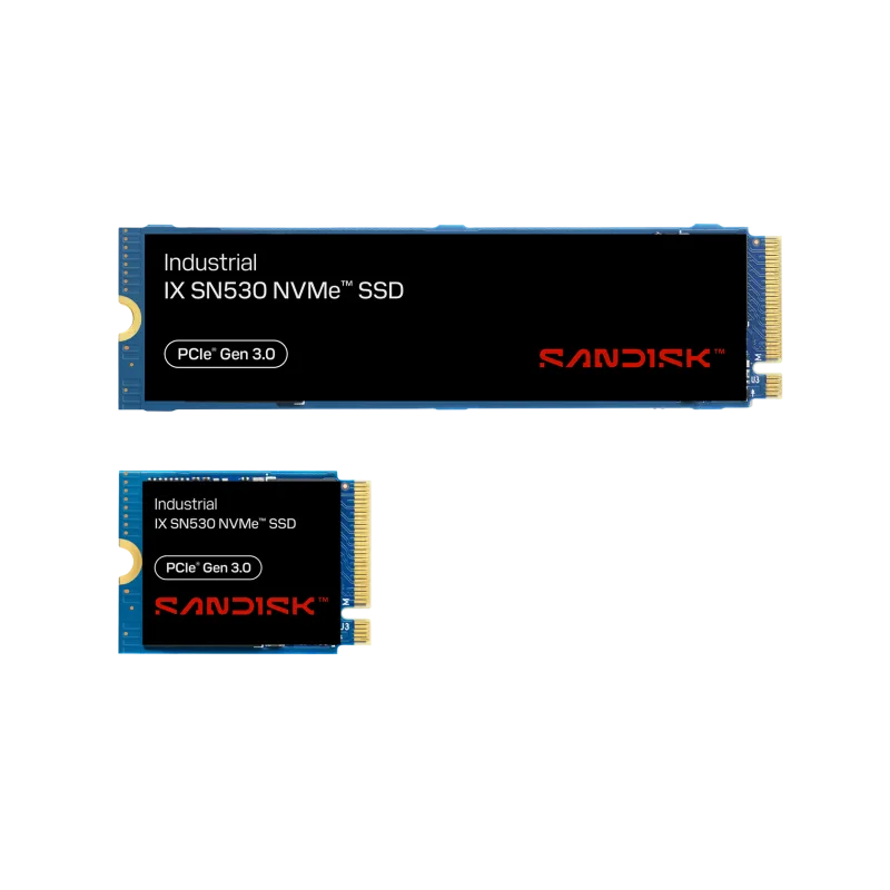 SanDisk IX SN530 256GB