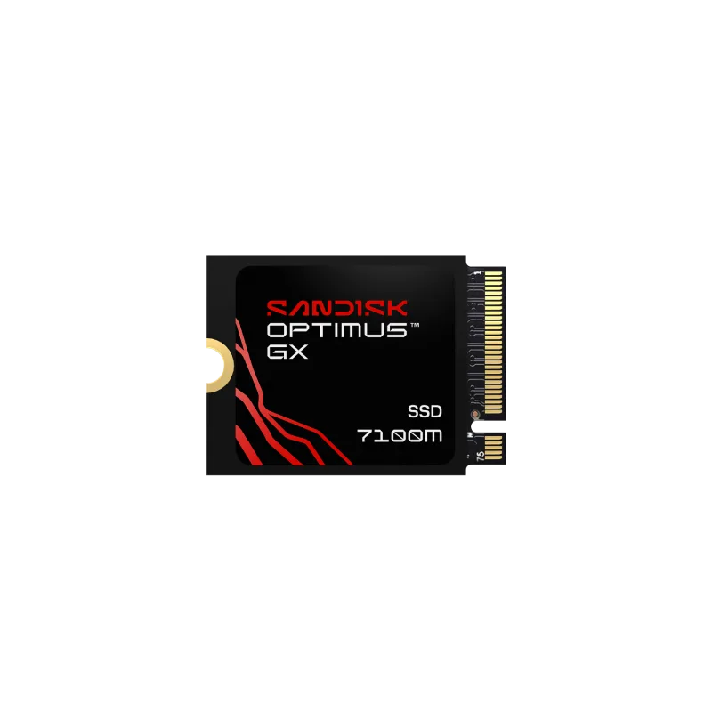 SanDisk SanDisk Optimus GX 7100M 1TB