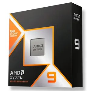 AMD Ryzen 9 9900X3D