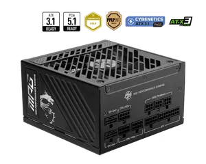 MSI MPG A1000GS PCIE5