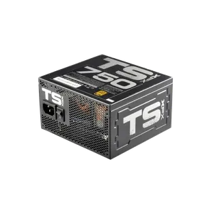 XFX TS Gold Series Full Wired P1-750G-TS3X