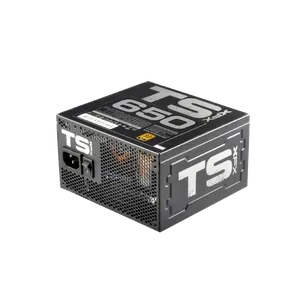 XFX TS Gold Series Full Wired P1-650G-TS3X