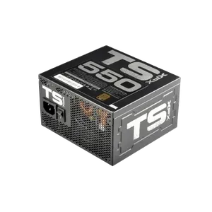 XFX TS Gold Series Full Wired P1-550G-TS3X