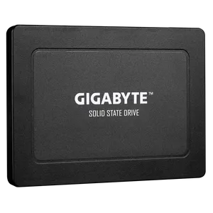 Gigabyte GP-GSTFS31960GNTD-V