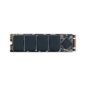 Lexar NM100 128GB