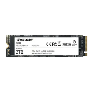 Patriot P300 1TB