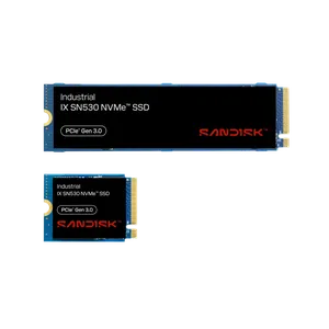 SanDisk IX SN530 256GB