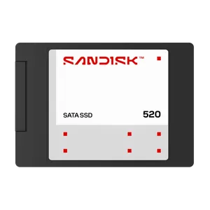 SanDisk SanDisk 520 1TB