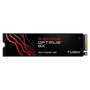 SanDisk SanDisk Optimus GX 7100X 2TB