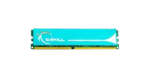 G.Skill 1GB (1x1GB) DDR2-1066 CL5