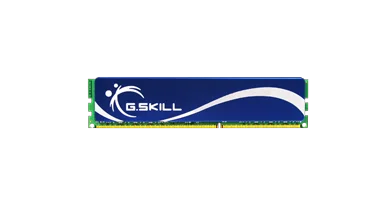 G.Skill 2GB (1x2GB) DDR2-667 CL4