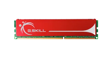 G.Skill 1GB (1x1GB) DDR2-800 CL5